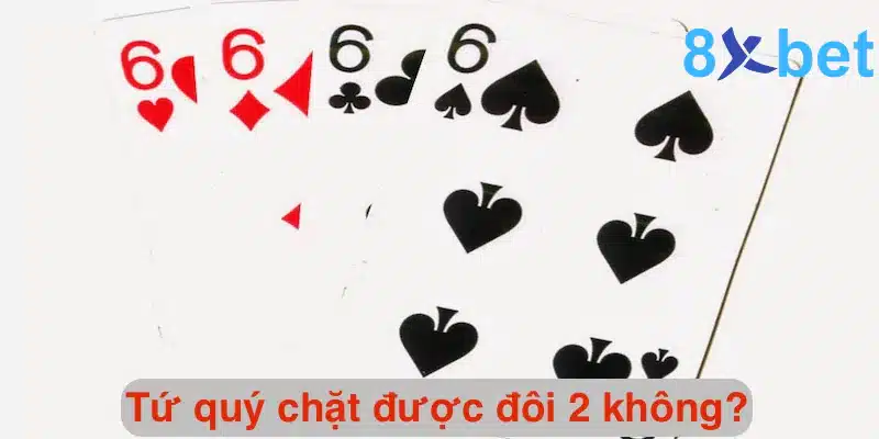 Tứ quý chặt được đôi 2 không? Tứ quý có thể chặt được gì? 7 Giải đáp chi tiết thắc mắc tứ quý chặt được đôi 2 không?