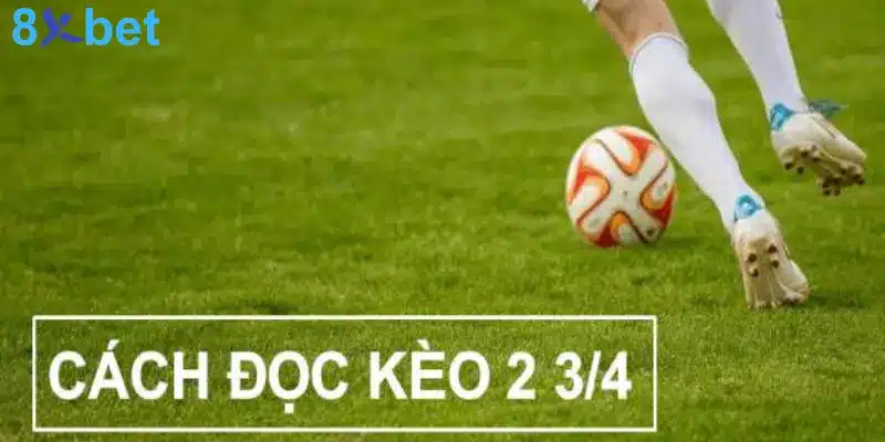 Kèo 3/4 Là Gì? Mẹo Đặt Cược Kèo Chấp 3/4 Hiệu Quả    2 Phương pháp đọc kèo 0.75 chuẩn nhất