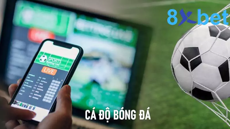 Cá độ bóng đá: Giải trí vui vẻ, thỏa mãn niềm đam mê 9 Cá độ bóng đá mang đến nhiều phần thưởng hấp dẫn