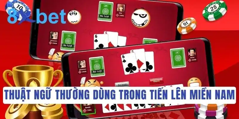Khám phá luật chơi Tiến Lên Miền Nam đầy đủ và dễ hiểu nhất  3 Thuật ngữ dành riêng cho trò chơi Tiến Lên Miền Nam