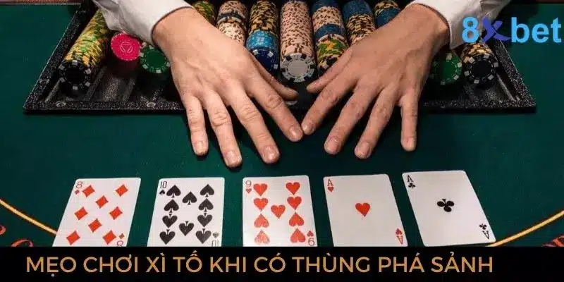Thùng Phá Sảnh - Giải Mã Thuật Ngữ Trong Bài Mậu Binh  4 Mẹo đánh xì tố khi sở hữu bộ phá sảnh