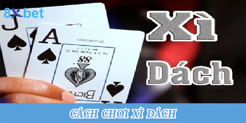 Tổng hợp cách chơi xì dách tại nhà cái 8xbet thắng lớn nhất 9 cách chơi xì dách