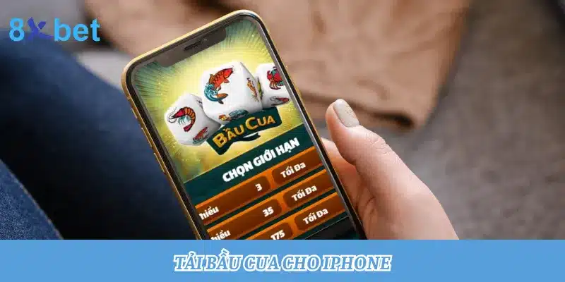 Hướng dẫn tải Bầu Cua cho iPhone, thành công chỉ trong 3 phút 3 Tải Bầu Cua cho iPhone